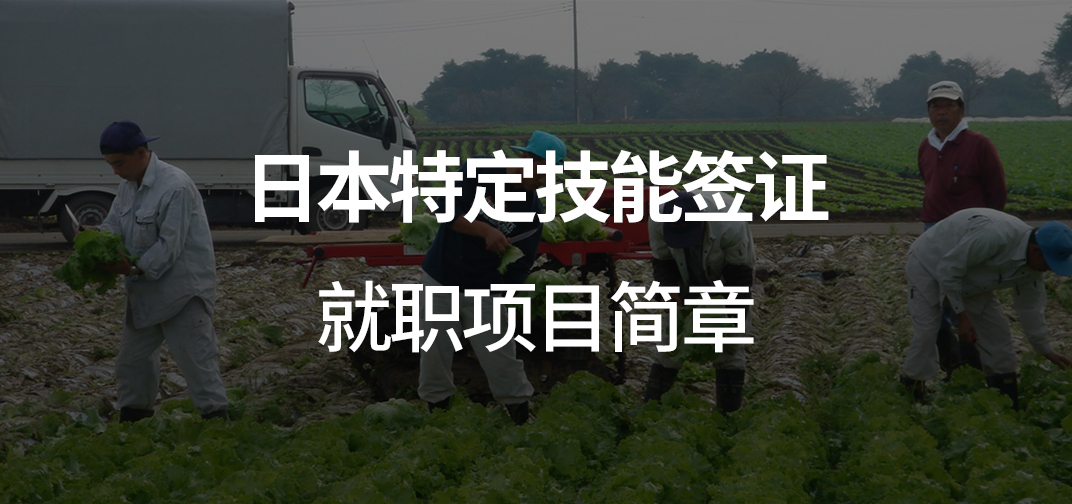 日本特定技能签证就职项目简章